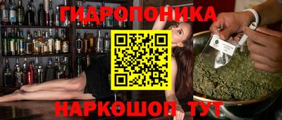 стафф Чебоксары