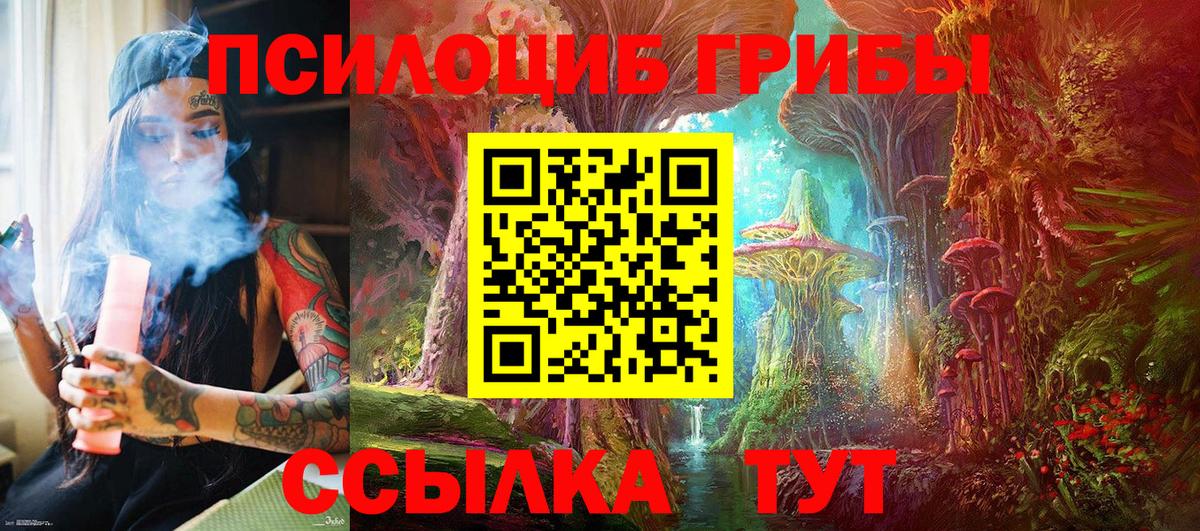 Галлюциногенные грибы Psilocybe Белово