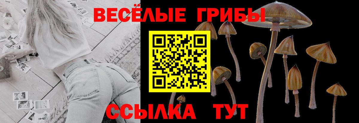 Белово  Галлюциногенные грибы мухоморы  Вход с VPN  Псилоцибиновые грибы GOLDEN TEACHER 